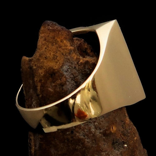 Excellent crafted Men's Chess Ring red Horse Head - Solid Brass